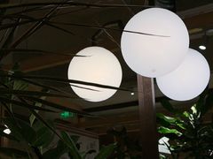 -一坐一忘云南菜(卓悦中心)