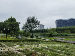 -西海子公园