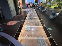 -浙江自然博物院(杭州馆)