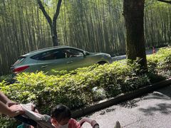 -威廉的太妃糖酒店(杭州西湖青芝坞店)