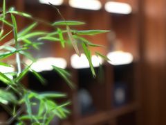 -泉客厅Spring Pavilion(303M空中会客厅)