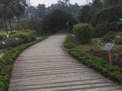 -广西壮族自治区药用植物园
