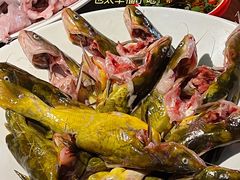 -铭记蛙小仙·活蛙畅享(CBD万达广场店)