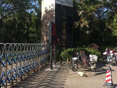 -滴水岩森林公园