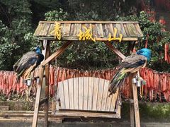 -青城山