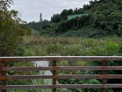 -黄龙溪欢乐田园
