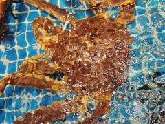 -好礼家海鲜•海肠捞饭大王(金沙滩念慈别墅店)