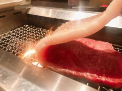 -俺的焼肉(銀座9丁目店)