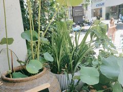 -本处·素食·融合料理(南油店)