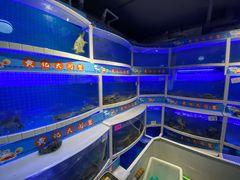 -黄记大闸蟹专卖店·活蟹·醉蟹
