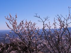 -北京凤凰岭