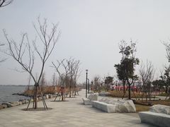 -南汇嘴观海公园