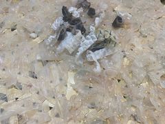 -官塘鱻鱻鱼生