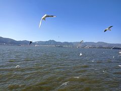 -海埂大坝