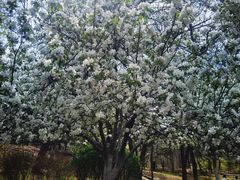 -元大都城垣遗址公园