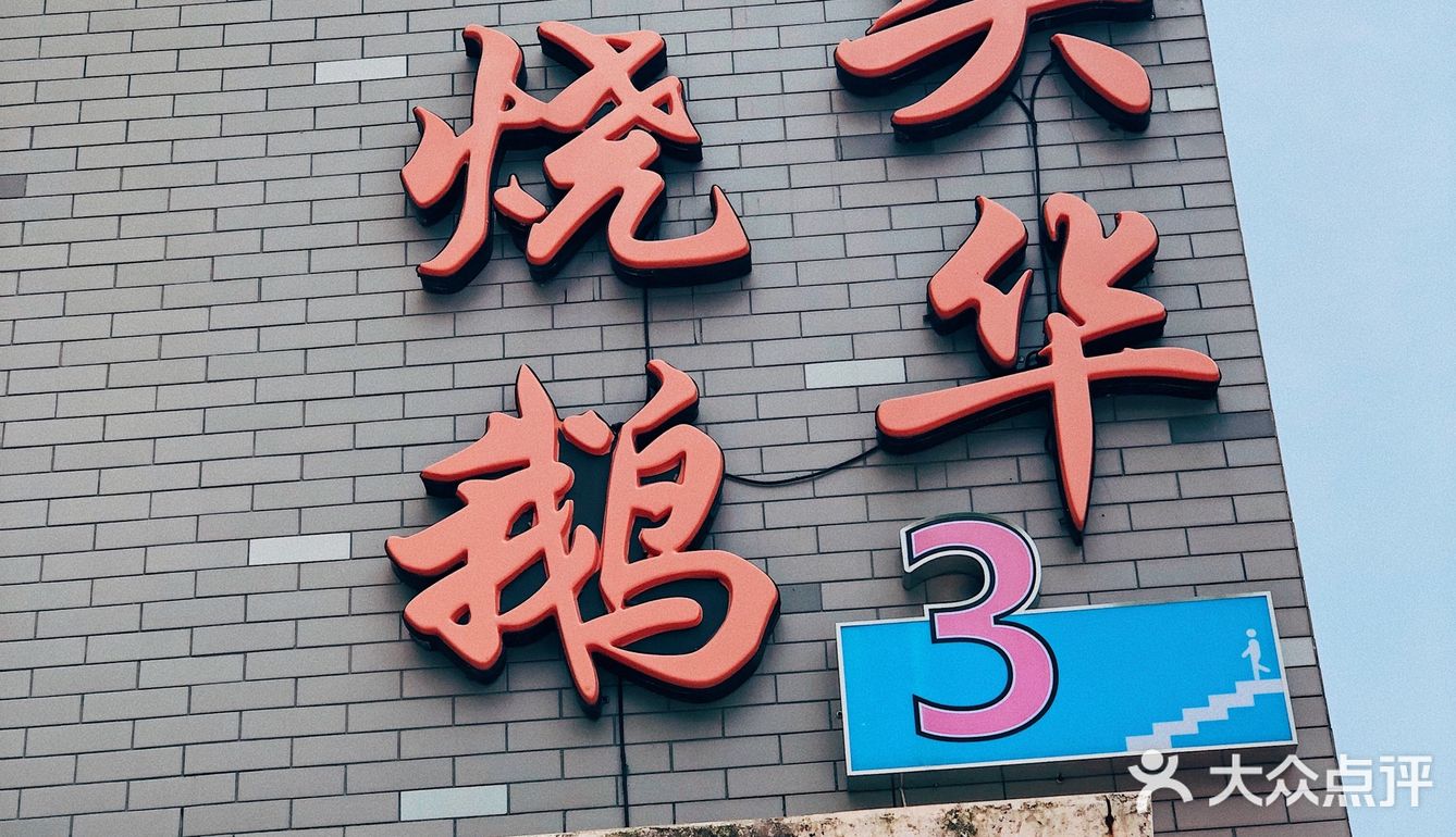 上过电视节目的大头烧鹅