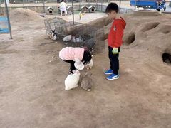 -前小桔亲子创意农场·草莓采摘·露营烧烤