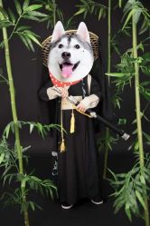 -清潭洞韩国儿童摄影(杏林店)