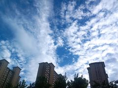 -木塔寺遗址生态公园