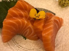 三文鱼刺身-有喜屋·鲜鸡板前烧鸟(徐家汇店)