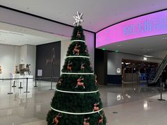 -深圳湾万象城(南山店)