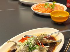 -憶廟街 X 沙角邨(太古城店)