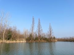 -白塔湖国家湿地公园