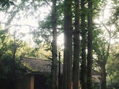 -法云安缦酒店