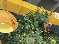 -成老灶火锅鸡(平山店)