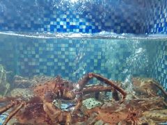 -顺德了能馆(虎门店)