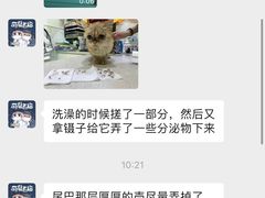 -萌兽医馆·宠物医院·猫骨科(创景店)