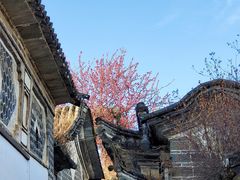 -喜洲翰林餐厅(董家百年老宅店)