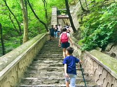 -北京上方山国家森林公园
