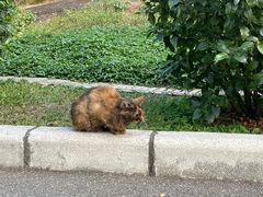 -晓港公园