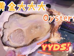 深海黄金蚝大个火锅-千岛蚝高压锅生蚝·人参火锅(白云万达店)