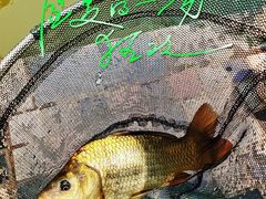 -酷鱼垂钓CLUB(朝阳区博大路店 )