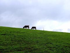 -新疆那拉提国家旅游度假区