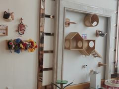 -Catmate·猫肥家润(金润铂宫店)