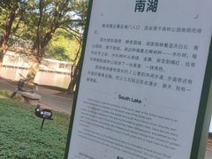 -三水森林公园