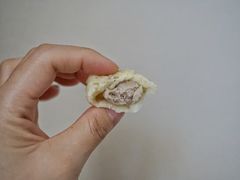 -佬钱湾仔(衣裳街店)