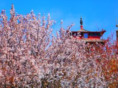 -石岛赤山风景区