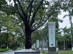 -厦门园林博览苑