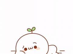 -宋小谨(惠安禹洲店)