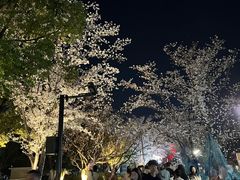 -杭州城北体育公园