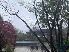 -杭州西子湖四季酒店-WL BISTRO西湖餐厅(灵隐路店)