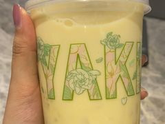 -雅克雅思(南湖东路店)