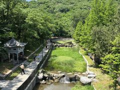 -白水寺森林公园