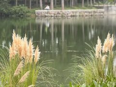 -尚贤河湿地