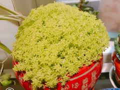 -海底捞火锅(亲子主题北金鹰店)