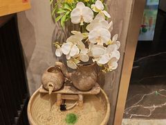 -若蘭慈·无国界素食料理(欢乐海岸店)